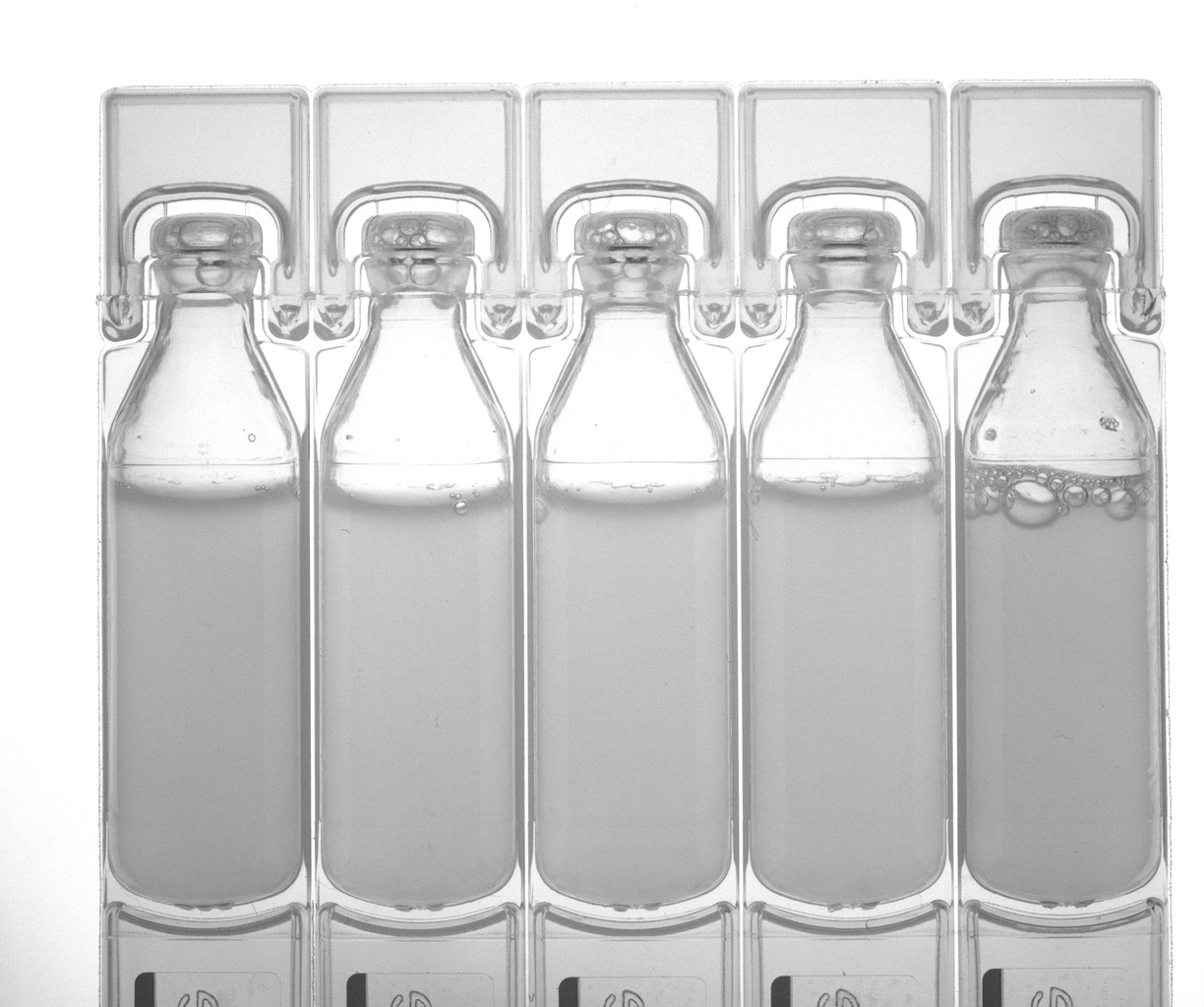 Image_20240307154815193 - 副本.jpg